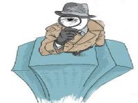 玉树取证公司解说第三者承担离婚赔偿责任吗